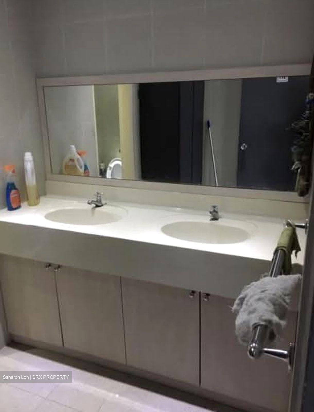 Balestier Point (D12), Shop House #613755711